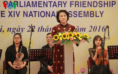 Tổ chức Nghị sỹ hữu nghị Việt Nam sẽ thúc đẩy phát triển ngoại giao Nghị viện - ảnh 1