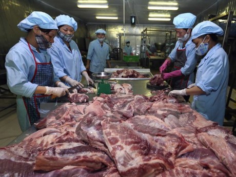 Hội thảo quản lý chuỗi thịt lợn giữa Việt Nam và Đan Mạch - ảnh 1