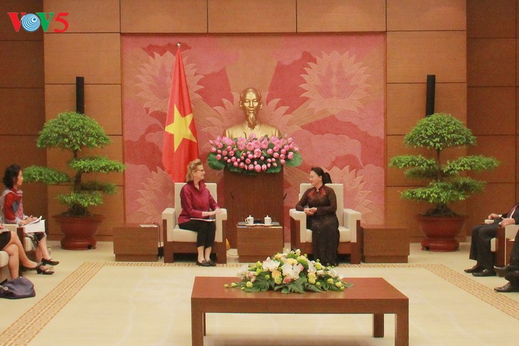 Chủ tịch Quốc hội Nguyễn Thị Kim Ngân tiếp Giám đốc Quốc gia mới UNDP tại Việt Nam - ảnh 1