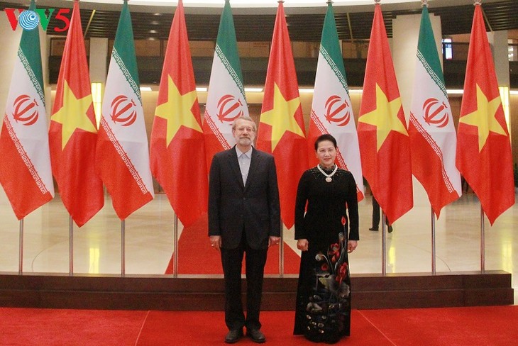 Hội đàm cấp cao Việt Nam - Iran - ảnh 1