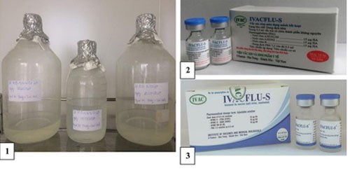 Việt Nam được WHO đặt hàng sản xuất vắc xin cúm mùa - ảnh 1