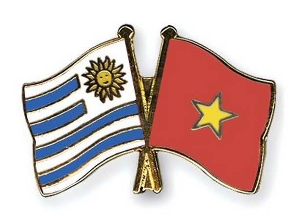 Kỷ niệm 25 năm thiết lập quan hệ ngoại giao Việt Nam-Uruguay - ảnh 1