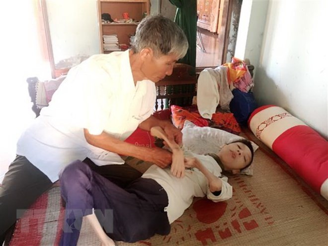 Việt Nam - Nhật Bản tăng cường phối hợp trợ giúp nạn nhân da cam/dioxin - ảnh 1