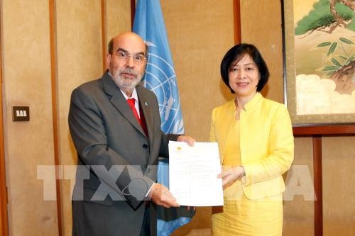 Việt Nam tiếp tục là đối tác quan trọng của FAO - ảnh 1