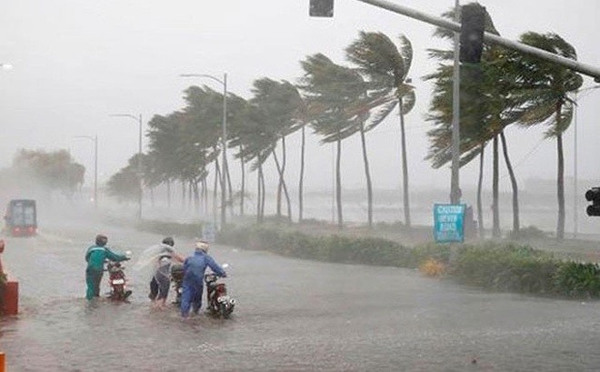 Bão Wipha đổ bộ Quảng Ninh, gây mưa lớn tại một số địa phương - ảnh 1