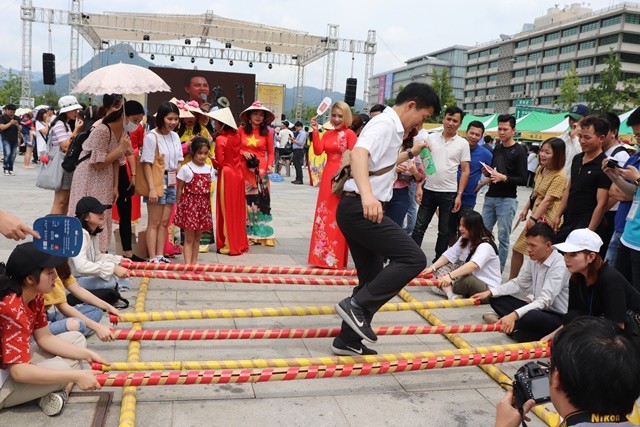 Tưng bừng lễ hội văn hóa Việt Nam tại Hàn Quốc lần thứ 9 - ảnh 7
