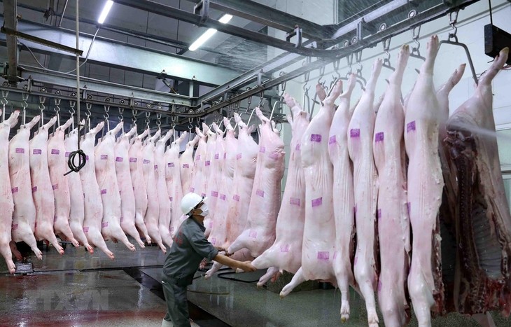 C.P. Việt Nam sẽ đưa vào hoạt động nhà máy giết mổ lợn đầu tiên tại miền Bắc - ảnh 1