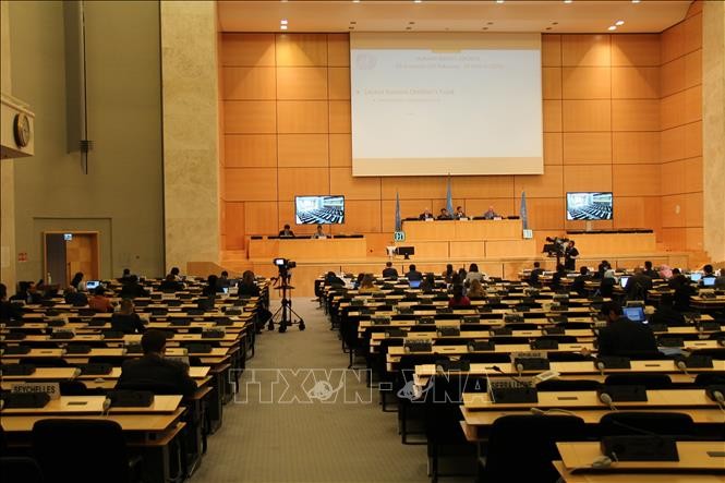 Khóa họp lần thứ 43 của Hội đồng Nhân quyền Liên hợp quốc họp trở lại - ảnh 1