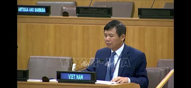 Việt Nam đề cao đối thoại, hoà giải trong giải quyết xung đột tại Congo - ảnh 1