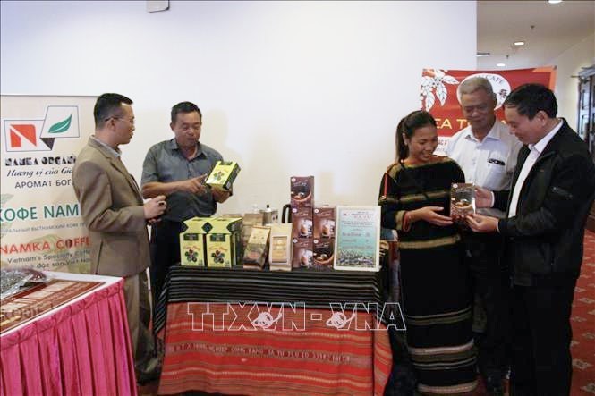 Phát triển sản phẩm quốc gia cà phê Việt Nam chất lượng cao - ảnh 1