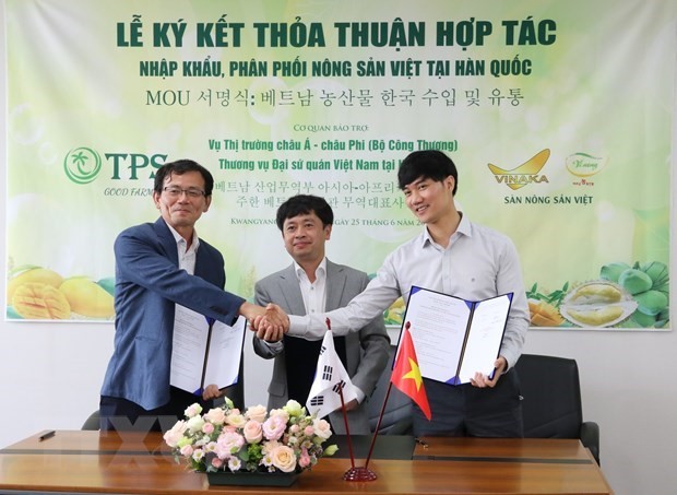 Đẩy mạnh nhập khẩu và phân phối nông sản, thực phẩm chế biến của Việt Nam tại Hàn Quốc - ảnh 1
