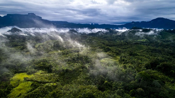 Khởi động sáng kiến quốc tế hỗ trợ cộng đồng bản địa bảo vệ rừng - ảnh 1