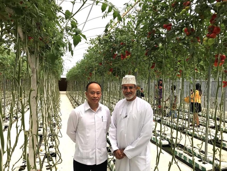 Thúc đẩy hợp tác nông nghiệp giữa Việt Nam và Qatar - ảnh 2