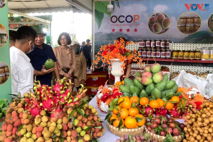Hơn 1.300 sản phẩm nông sản các vùng miền được giới thiệu tại Festival trái cây, sản phẩm OCOP Việt Nam 2022 - ảnh 1