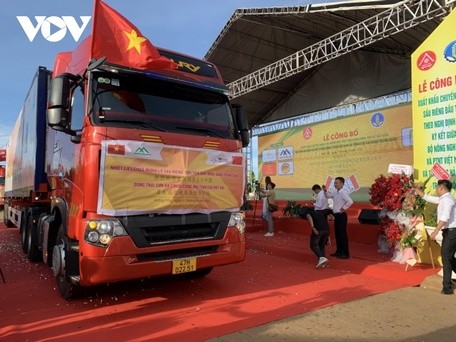 Lô hàng sầu riêng đầu tiên của Việt Nam xuất khẩu chính ngạch - ảnh 1