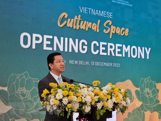 Việt Nam - Ấn Độ thúc đẩy hợp tác du lịch  - ảnh 1