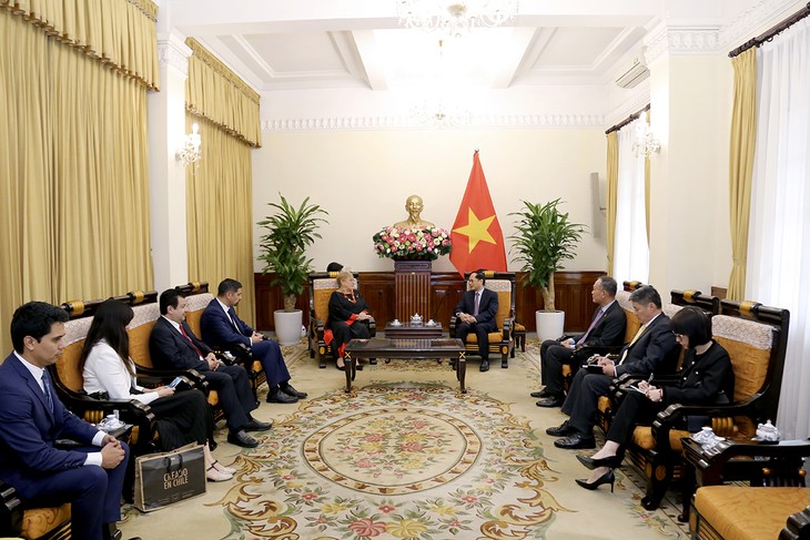 Việt Nam coi trọng quan hệ Đối tác toàn diện Việt Nam - Chile - ảnh 2
