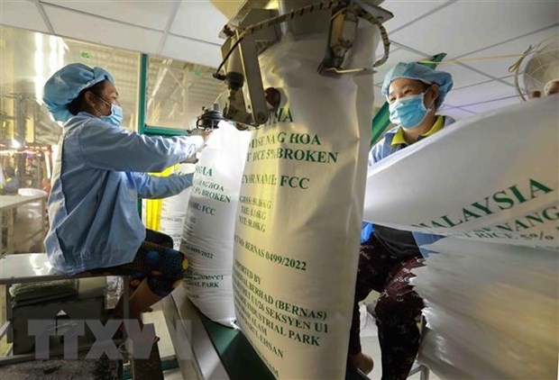Xuất khẩu gạo Việt Nam kéo dài đà tăng trưởng - ảnh 1