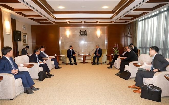 Bộ trưởng Ngoại giao Bùi Thanh Sơn thăm chính thức Singapore - ảnh 2