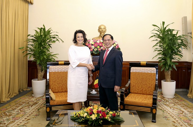 Bộ trưởng Ngoại giao Bùi Thanh Sơn tiếp Chủ tịch Thượng viện Bỉ Stephanie D’Hose - ảnh 1