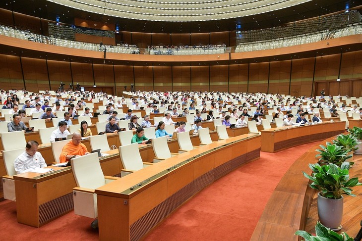 Quốc hội thảo luận kết quả thực hiện kế hoạch phát triển kinh tế - xã hội - ảnh 1