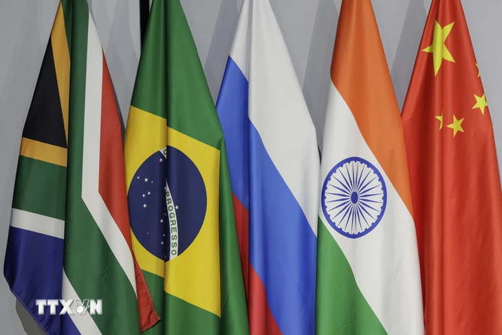 Việt Nam quan tâm theo dõi tiến trình mở rộng thành viên của nhóm BRICS - ảnh 1