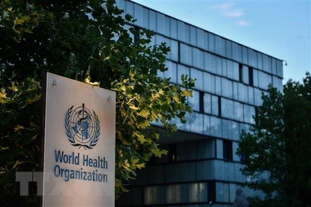 WHO urges countries to prepare for next pandemic - ảnh 1
