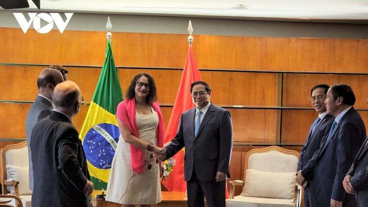 PM receives leaders of Communist Party of Brazil, Brazil-Vietnam Friendship Association - ảnh 1