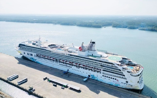 Resorts World One cruise ship brings 1,500 foreign visitors to Nha Trang - ảnh 1