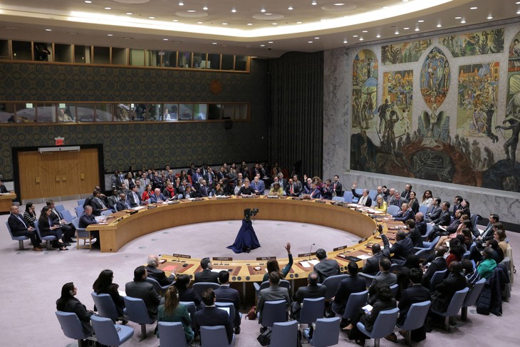 US vetoes UN Security Council action on Israel, Gaza - ảnh 1