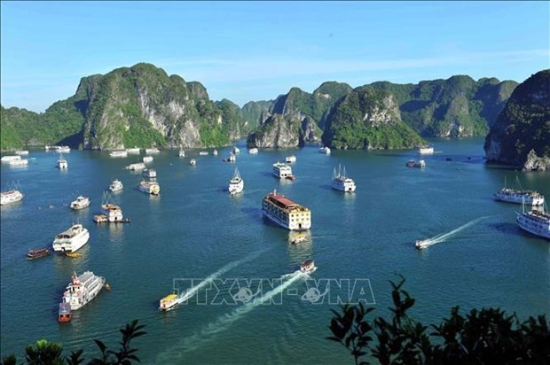 Ha Long Bay, Sa Pa selected as trending destinations in 2024 by TripAdvisor - ảnh 1