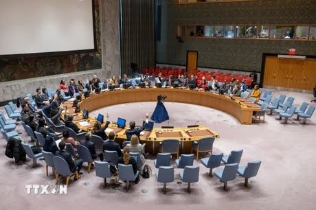 Security Council considers Palestinian application for full UN membership - ảnh 1