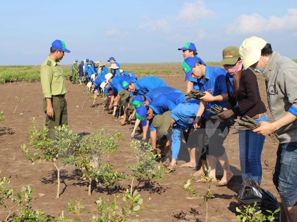 Вьетнам вместе с мировым сообществом противодействует изменению климата - ảnh 1