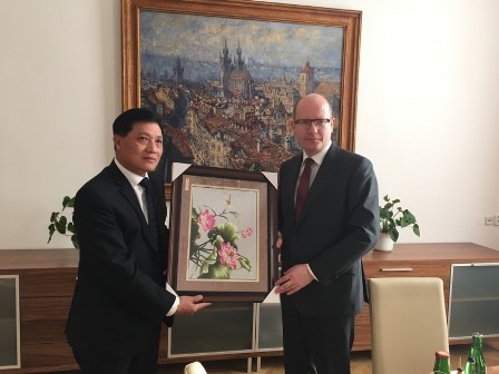 Чехия ценит традиционные дружеские отношения с Вьетнамом - ảnh 1