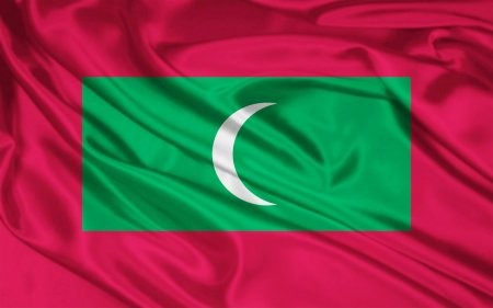 Президент и премьер СРВ отправили поздравительные телеграммы по случаю Дня независимости Мальдив - ảnh 1
