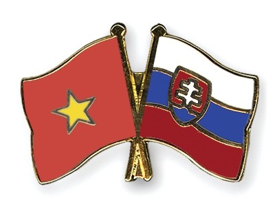 Вьетнам и Словация сделали совместное заявление - ảnh 1