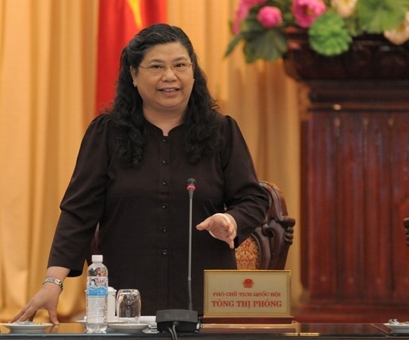Зампредседателя НС СРВ Тонг Тхи Фонг приняла делегацию Фолькетинга Дании - ảnh 1