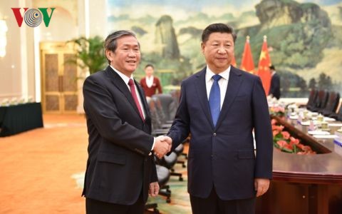 Председатель КНР принял постоянного члена Секретариата ЦК КПВ Динь Тхэ Хуиня - ảnh 1