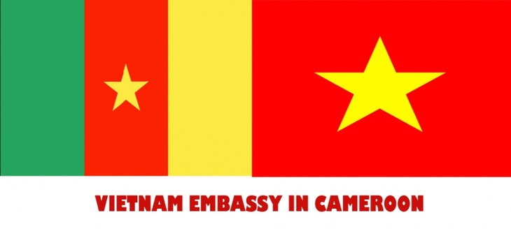 Скоро Вьетнам и Камерун отметят 45-летие установления дипотношений - ảnh 1