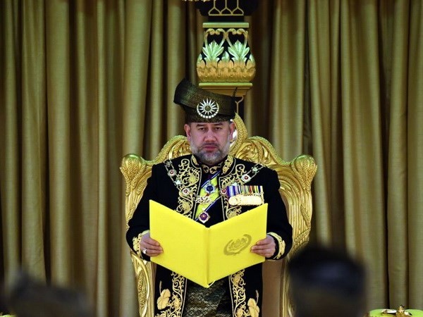 Поздравительная телеграмма в адрес короля Малайзии - ảnh 1