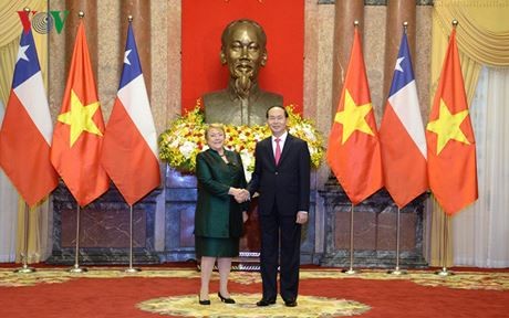 Дальнейшее расширение всеобъемлющего сотрудничества между Вьетнамом и Чили - ảnh 1