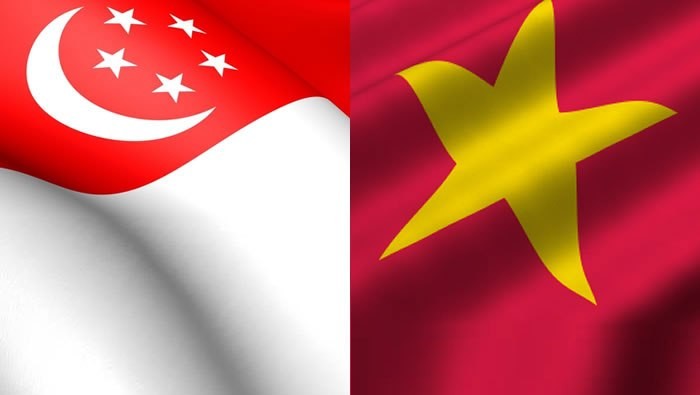 В Сингапуре прошёл вьетнамо-сингапурский бизнес-форум - ảnh 1