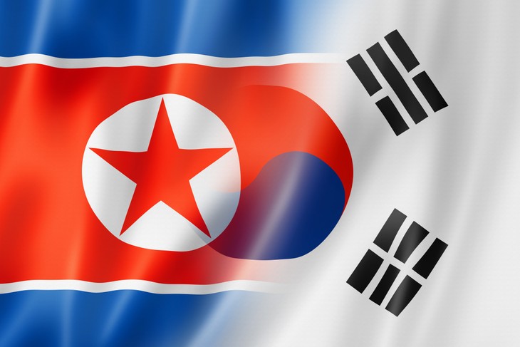 КНДР призвала Республику Корея прекратить совместные военные учения с США - ảnh 1