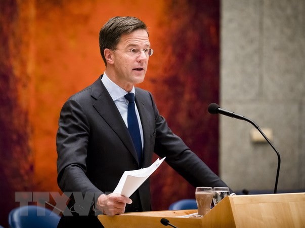 Нидерланды не будут учавствовать в военной операции в Сирии - ảnh 1