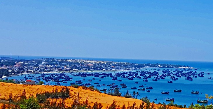 Национальная туристическая зона Муйне – яркая точка на туристической карте Вьетнама - ảnh 1