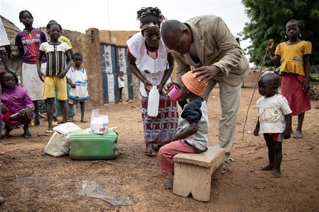 Число жертв малярии в странах Африки превысит показатели COVID-19 - ảnh 1