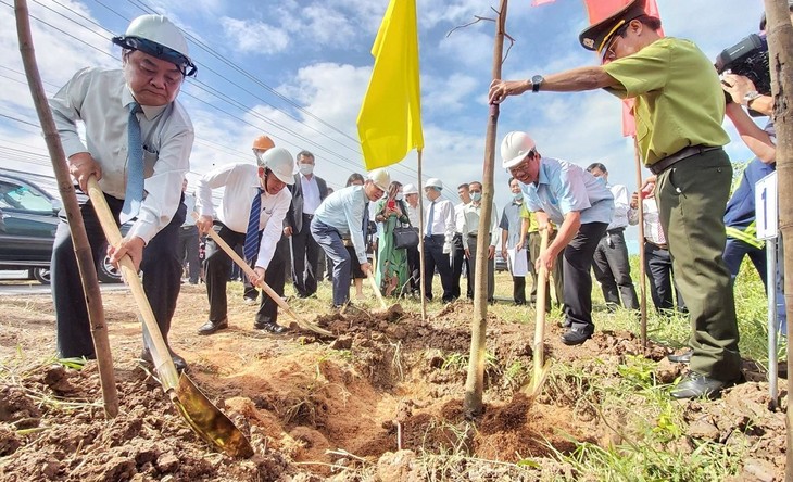Премьер-министр Вьетнама похвалил провинцию Бенче за активную посадку деревье - ảnh 1
