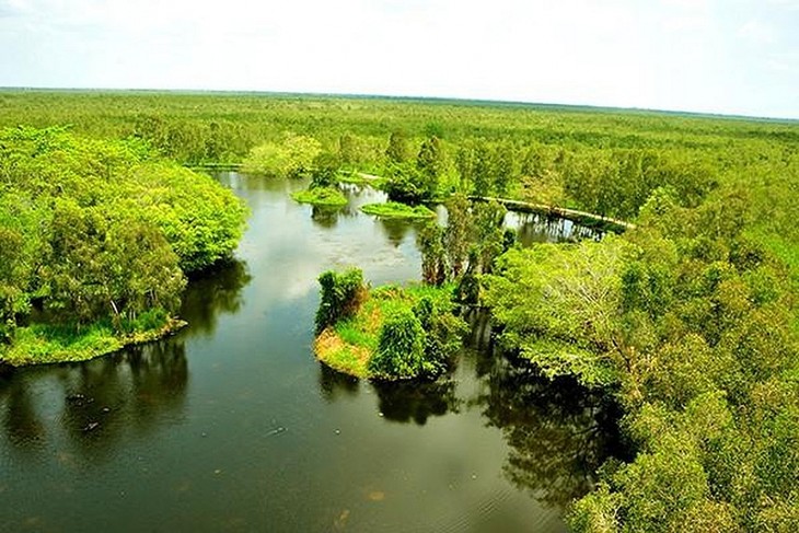 Всемирный день окружающей среды: Вьетнам вступает в десятилетие восстановления экосистем - ảnh 1