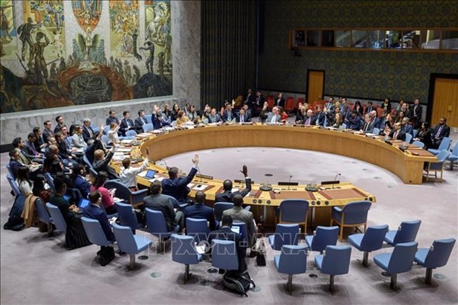 Вьетнам вносит существенный вклад в деятельность Совета безопасности ООН - ảnh 1