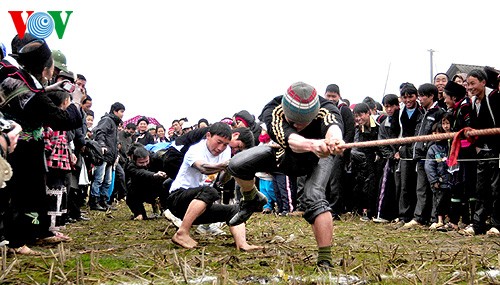 เทศกาลของชนเผ่า Dao แดง ณ เมือง Sapa   จังหวัด Lào Cai - ảnh 6